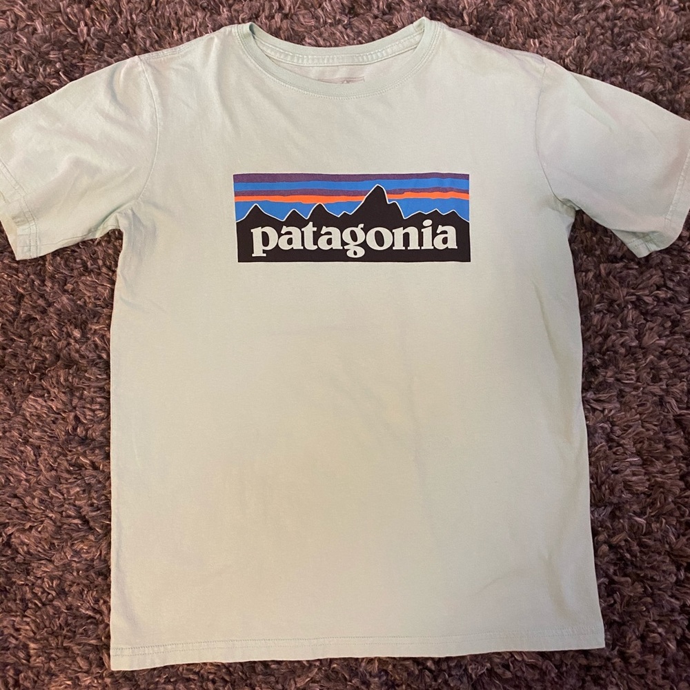 boys Patagonia tee